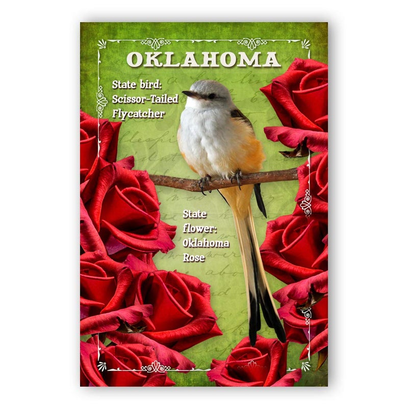 Postcard Fair Oklahoma Bird & Flower Set of 20 - Image 1